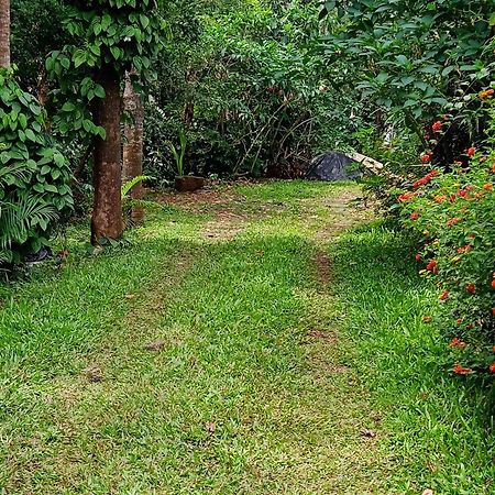 Farmer Homestay Yercaud Exteriör bild
